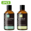 Zen Active Living Pure Essential Oil Blend For Humidifier Diffuser Aromatherapy Fragrance