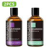 Zen Active Living Pure Essential Oil Blend For Humidifier Diffuser Aromatherapy Fragrance